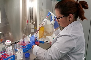 TSU will train chemists for biomedicine