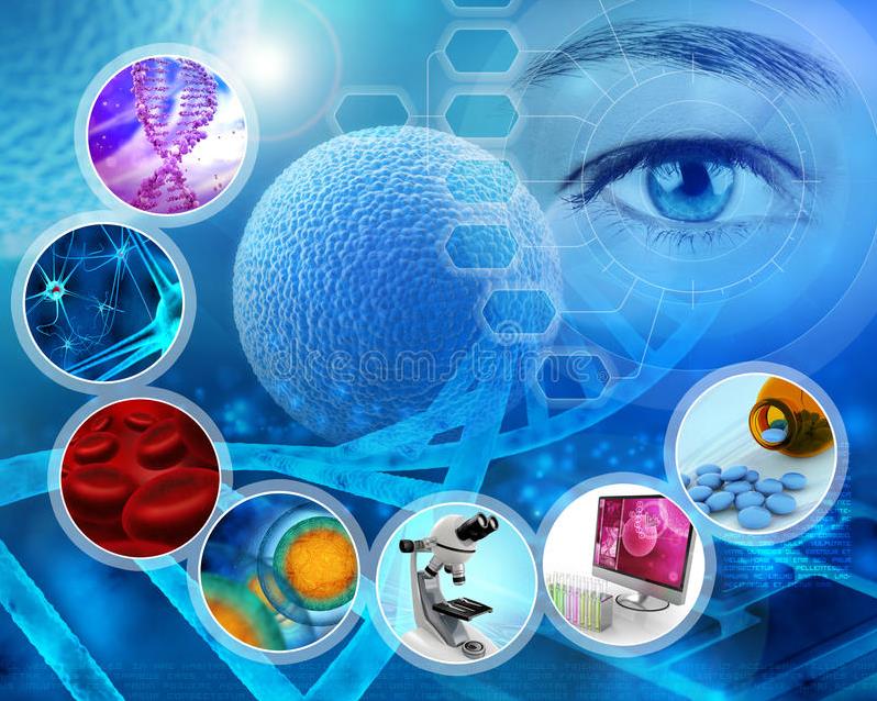 The open day of Tomsk International Science Program