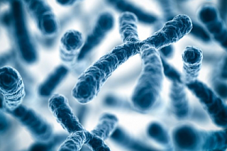 The sense of anxiety with orientation in space is 40% inherited