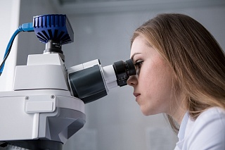 TSU is identifying the role of macrophages in disease progression