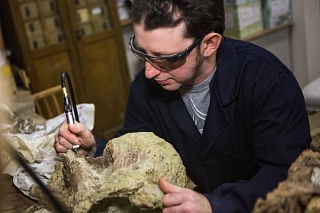 Paleontologists TSU will extract remains of titanosaur