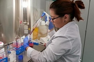 TSU scientists will develop implants based on stem cells