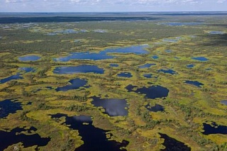 TSU will open a research station in the Vasyugan Swamp