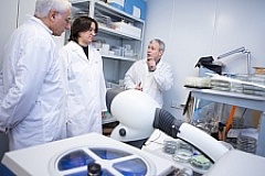 DESY will test six sensors of TSU radiophysicists