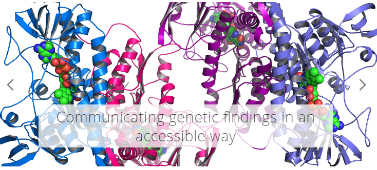 “Scientists found a gene that”: where to dispel myths about genetics