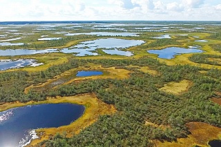 TSU has opened a research station on the Vasyugan Swamp