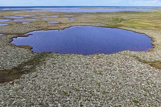What happens with the Arctic and subarctic lakes in the offseason?