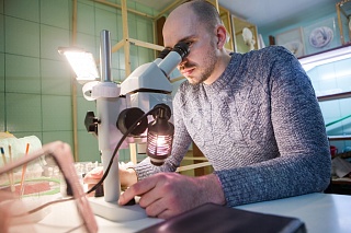 TSU scientists have mapped the genome of dangerous malaria vectors