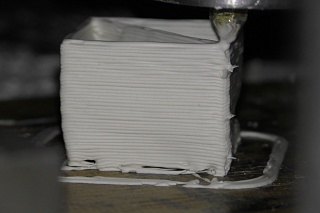 TSU scientists have developed the world’s first method for 3D printing