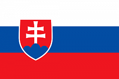 Volunteers from Slovakia will work on projects at TSU for 10 months