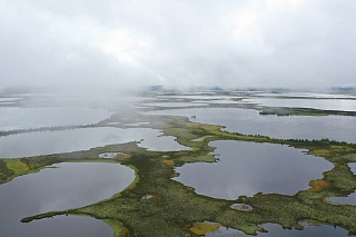 TSU scientists made a film about disappearing lakes in the permafrost 