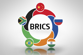 TSU entered the BRICS Network University