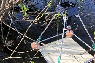 TSU is creating a device for remote monitoring of malaria mosquitoes