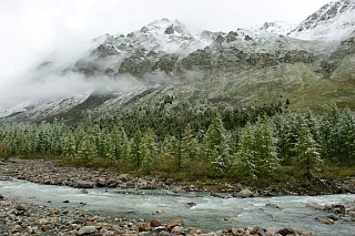 Scientists learn how past forests burned to predict fires
