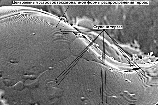 Scientists developed porous material with improved biocompatibility