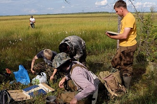 TSU scientists found that a lake disappeared in the Arctic zone 