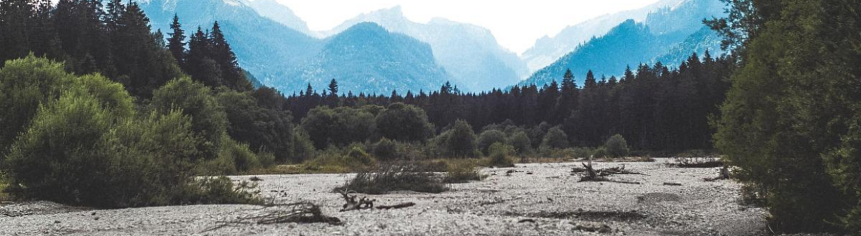 Transition Toward a Better Way to Treat the Environment (Part II)