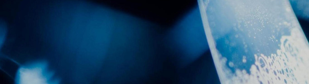 Porous Alloys With Increased Corrosion Resistance and Biocompatibility: What Is It?