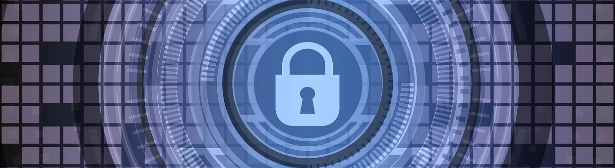 Scientists of Russia and France will work to reduce cyber risks