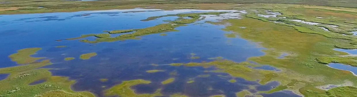 TSU scientists: permafrost in the Arctic melted 30% faster in 2020