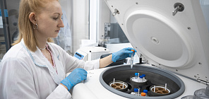 TSU scientists develop new targeted drug delivery systems