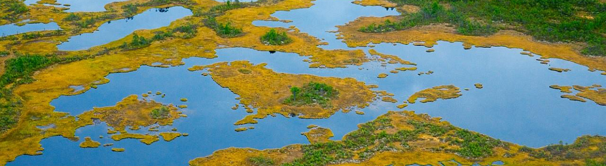 TSU will open a research station in the Vasyugan Swamp