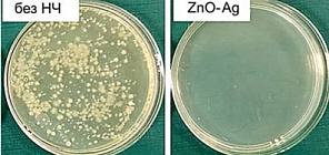 Tomsk State University and State Islamic University of Raden Intan Lampung will create and test new antimicrobial materials