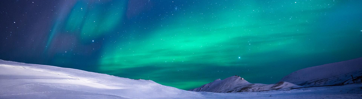 TSU scientist won the prestigious Arctic Awards 2018