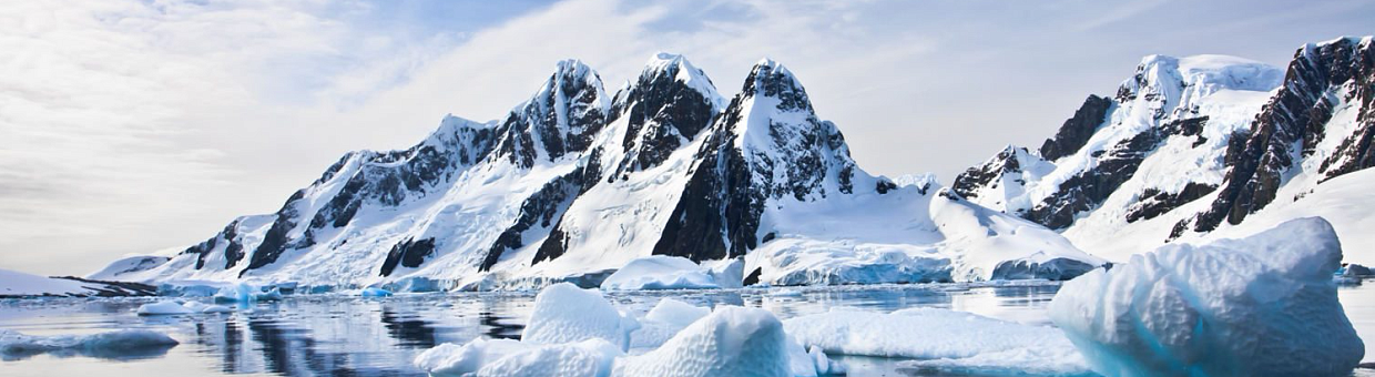 Prince William has awarded a TSU scientist for the study of the Arctic