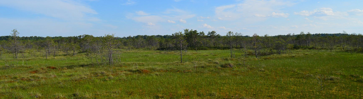 The world's largest peatland helps solve global climate problems