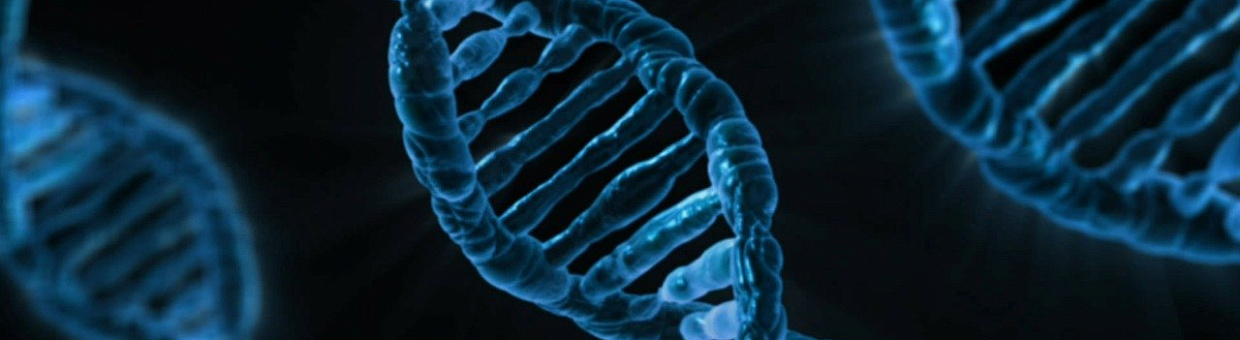 Scientists are ready to develop the first DNA printer in Russia